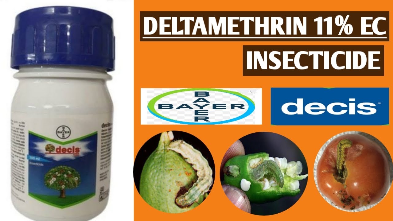 DELTAMETHRIN 11%EC// INSECTICIDE //BAYER DECIS 100// FULL DETAILS WITH MODE OF ACTION