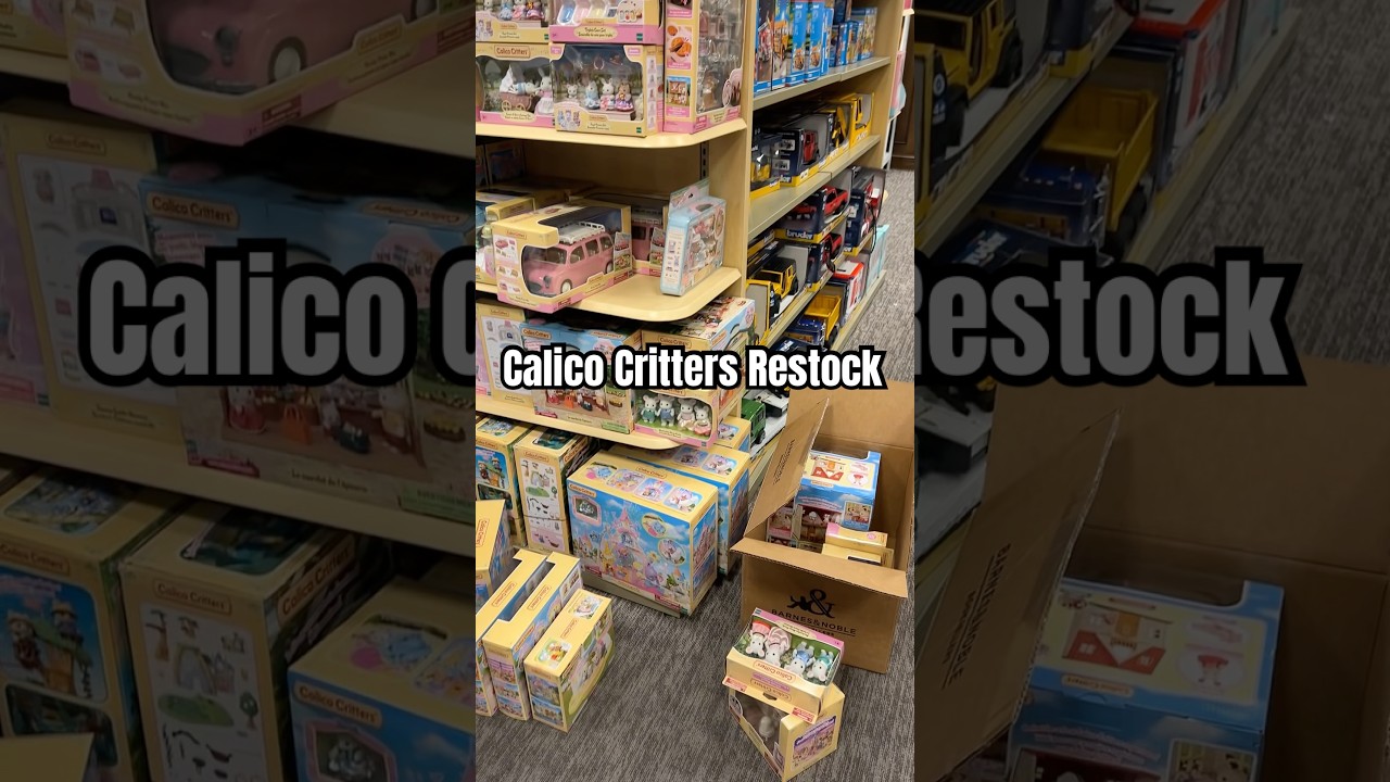Catching a restock - Calico Critters @ Barnes & Noble #calicocritters #sylvanianfamilies #shopping
