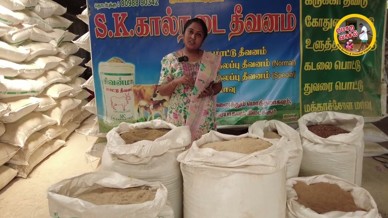 Beer Waste கால்நடைகளுக்கு கொடுக்கலாமா? |அதிக பால் கறக்கும் மாட்டுத்தீவனம் SK Cattle Feed | Moravasal