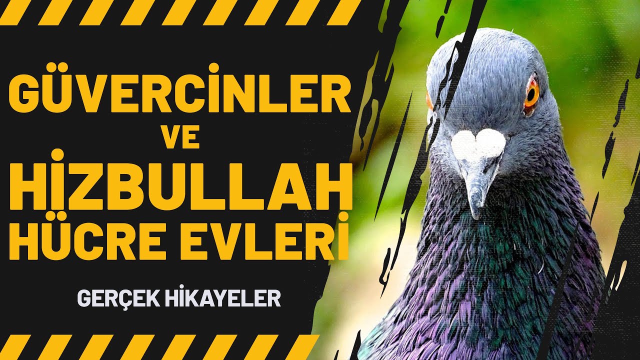 Güvercinler ve Hizbullah Hücre Evleri | Kan Donduran Anılar 4. Bölüm