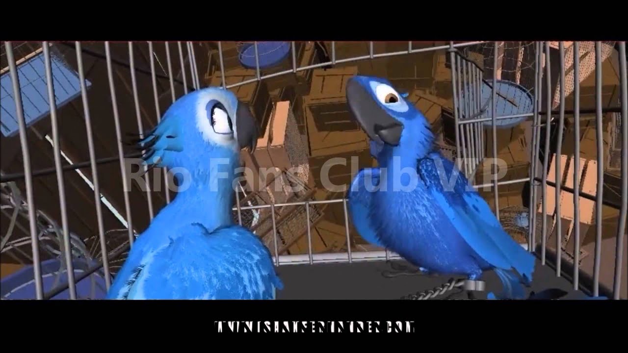 Making Rio Animation 3 (Rio Fans Club VIP)