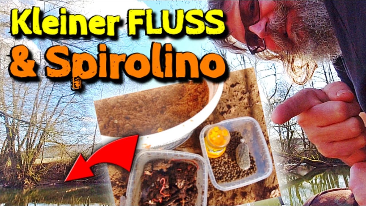 ANGELN im Winter auf Friedfische mit Winkelpicker und Sbirolino 🎣❄️