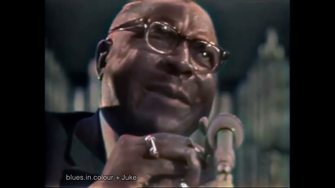 Sonny Terry & Brownie McGhee - Talkin' Harmonica Blues live [Colourised] 1964