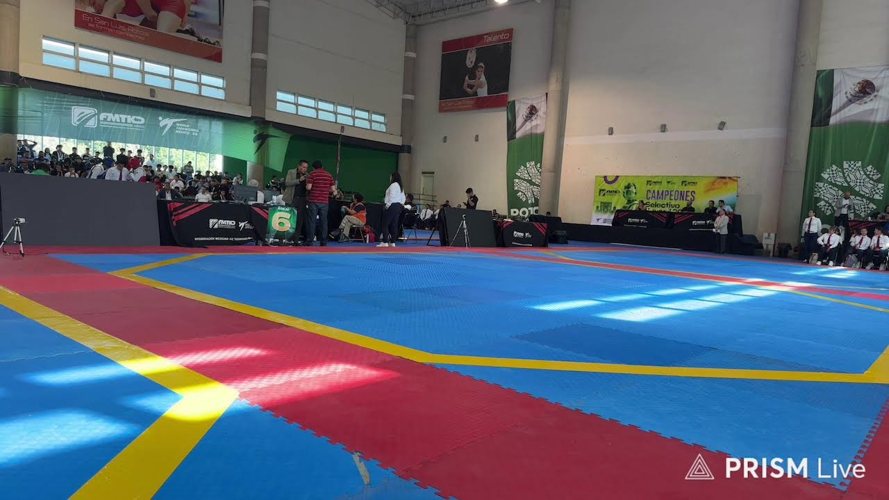FINALES Área 6