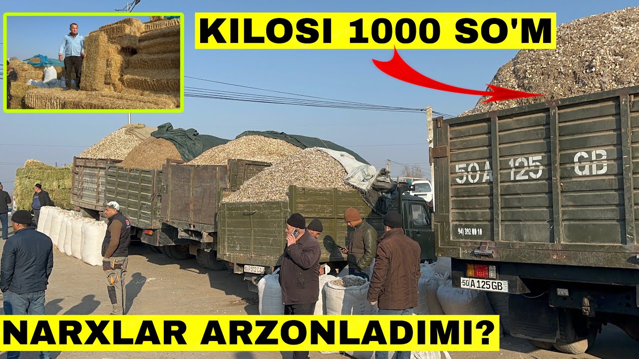 Xatto 1000 So’m Ekan Kilosi Arzonmi? Narxlar Bilan Tanishing Samarqant Sabxoz Namangan