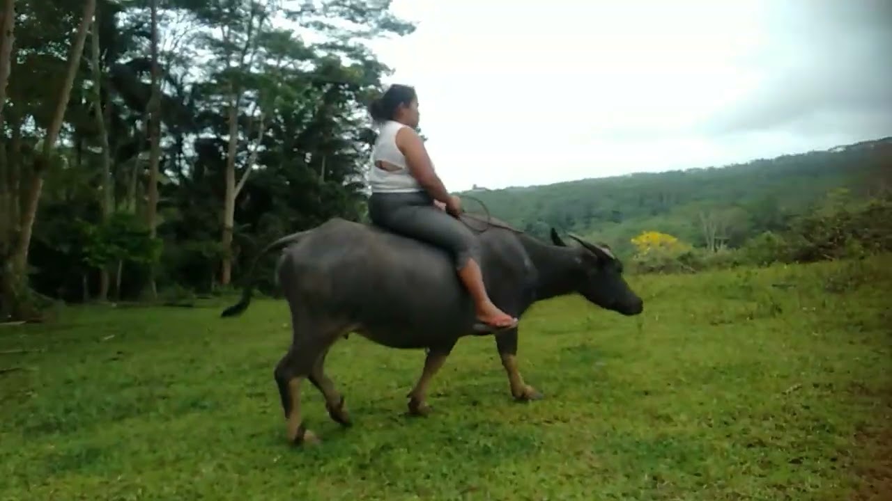 I'm really too fat.
