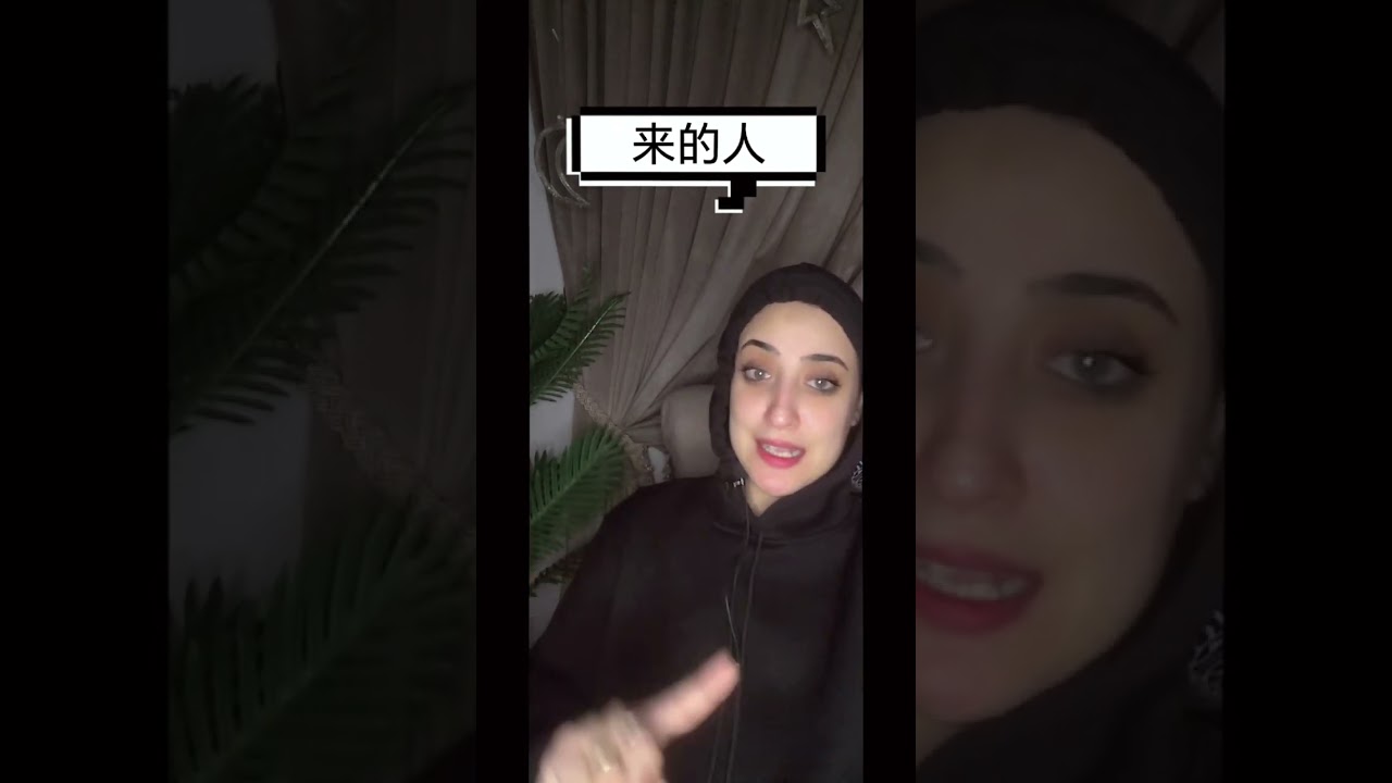 الجزء الأول من النعت في اللغة الصينية 