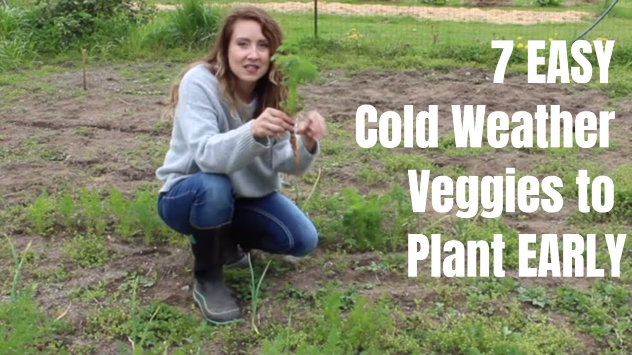 7 COLD WEATHER vegetables to plant EARLY - Easy Hack for Fresh Food Faster
