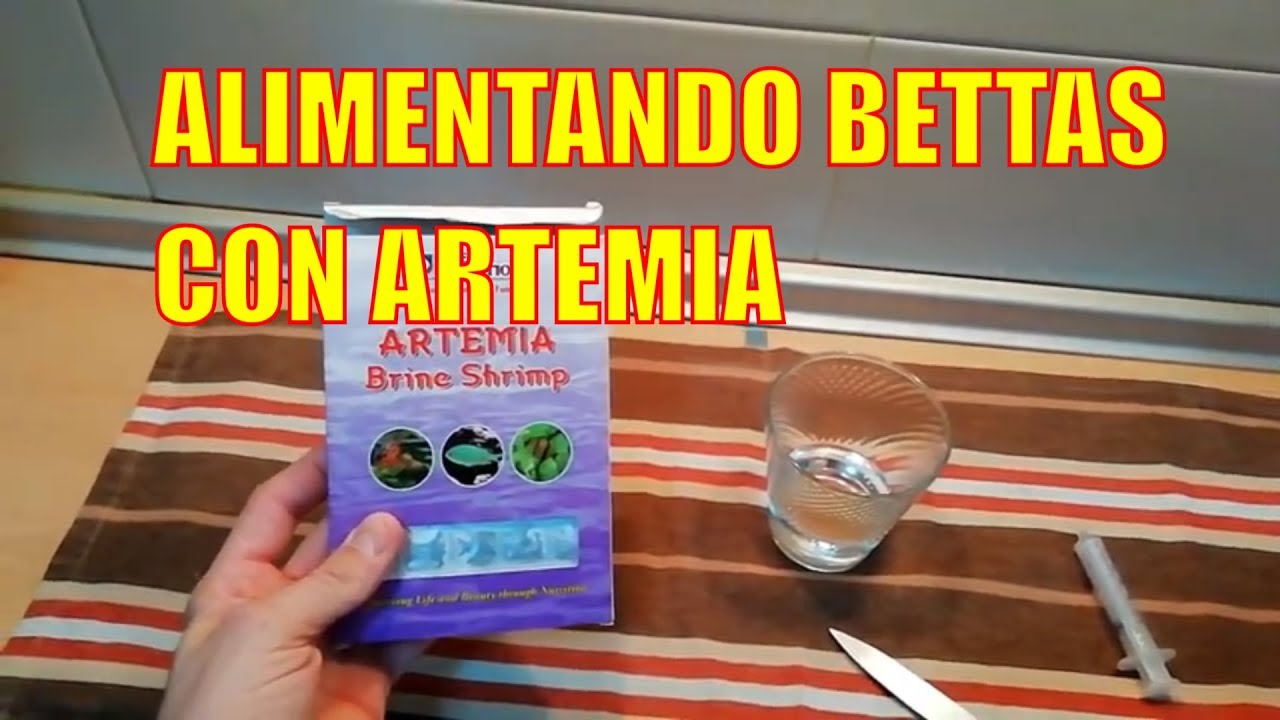 ARTEMIA CONGELADA PARA PECES | COMIDA CONGELADA PARA PECES DE AGUA DULCE