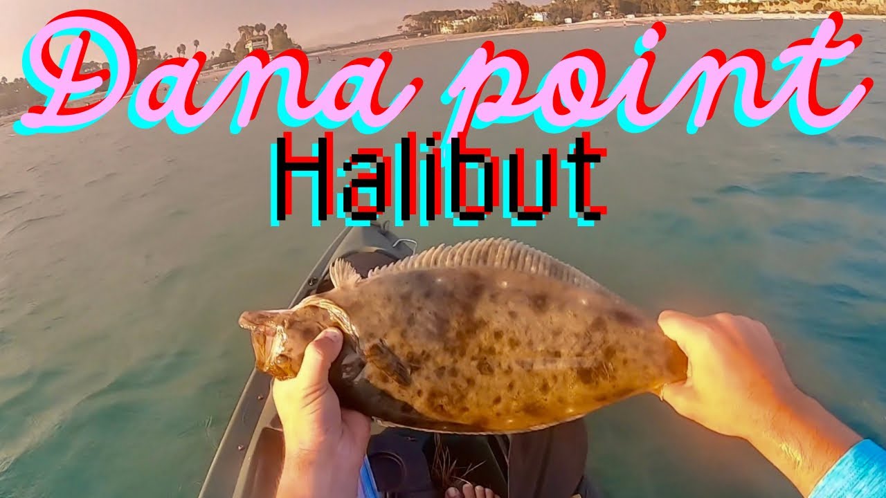 Dana point Kayak fishing! Doheny state beach