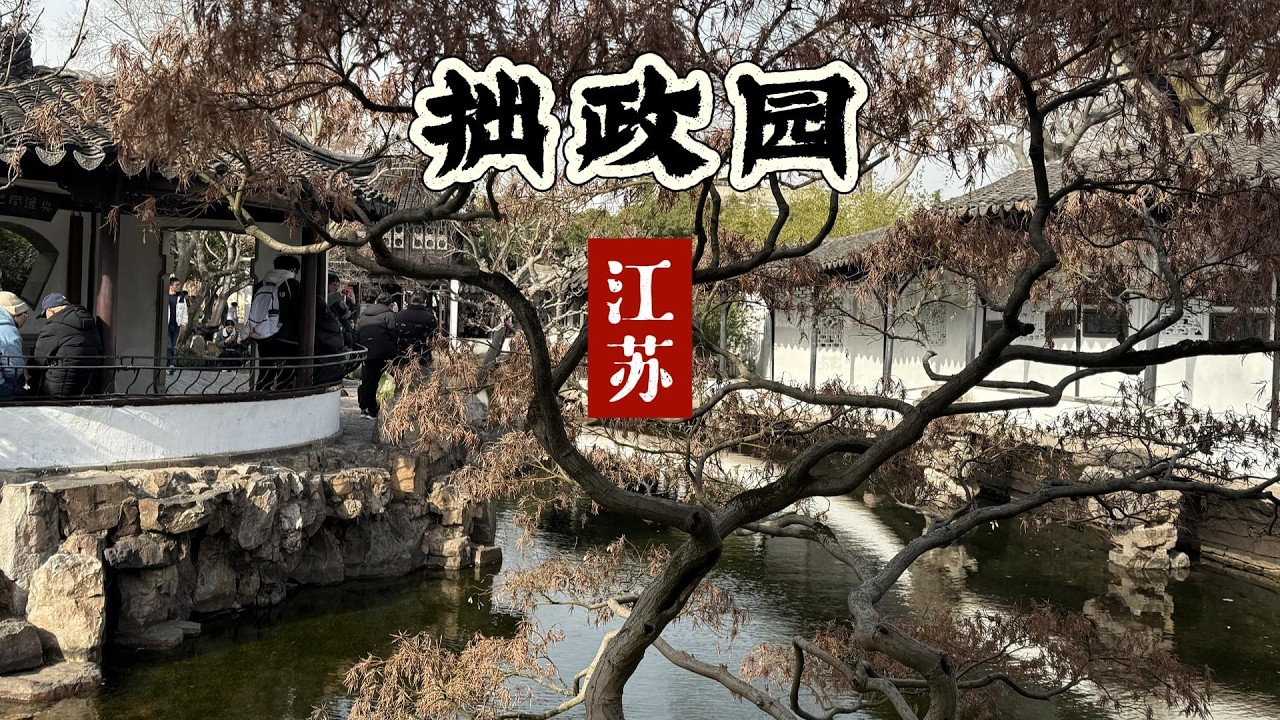 凭啥它是四大园林之首！想看懂中式园林美学，拙政园不可错过！