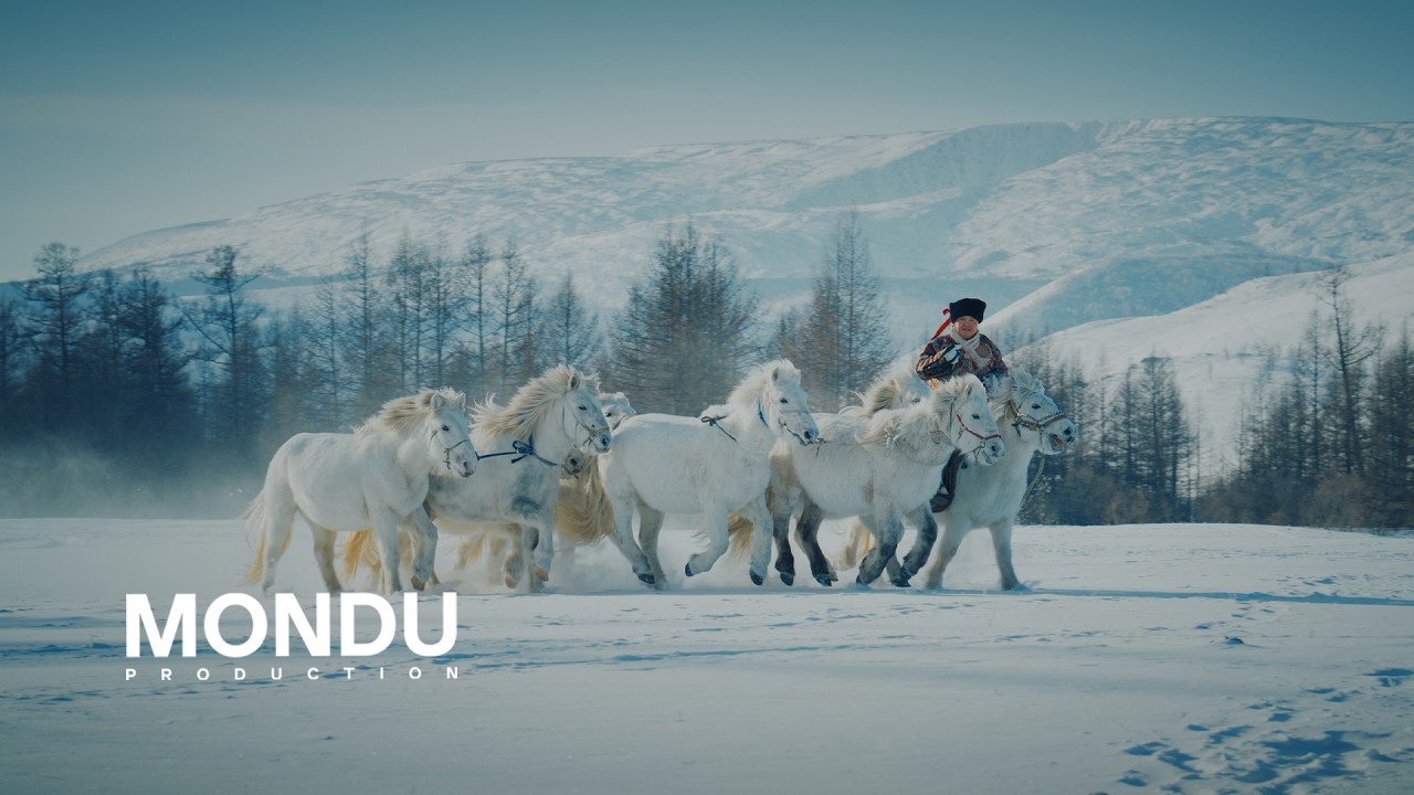 Baynmunkh - Darhadiin Tsenher Hotgor (Official Music Video)