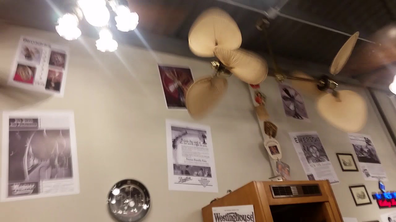 Fanimation Fan Museum Обновленный Fan Testing/Demons ВСЕ НА ВЫСОТЕ