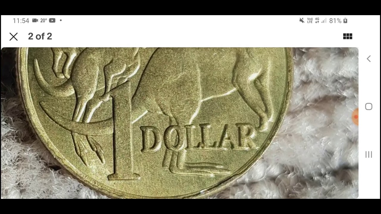Fake 2000 $1 mules