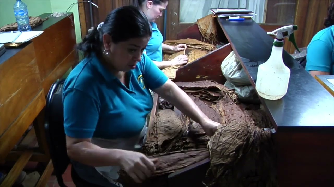 Cigar Factory