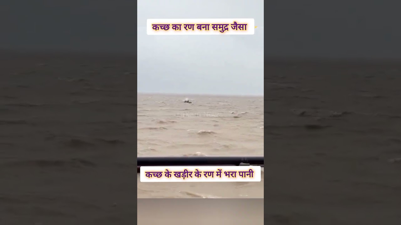kutch Tourist place|ran of Kutch|rain #kutchtouristplace #kutch #ranofkutch #shorts #rain #short