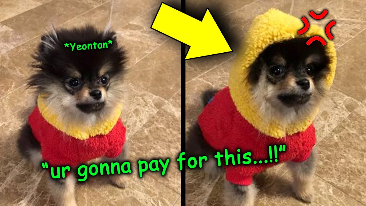 Yeontan hates BTS 🤭