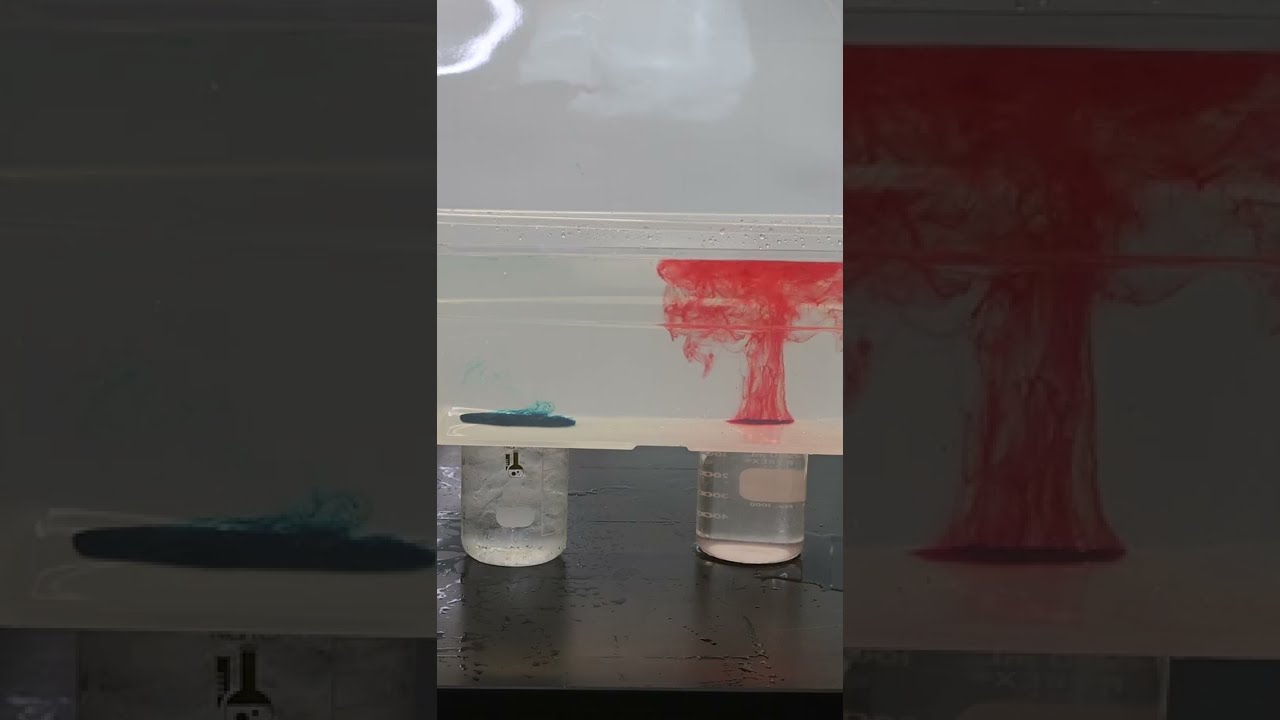 Short View: Convection Currents Demo