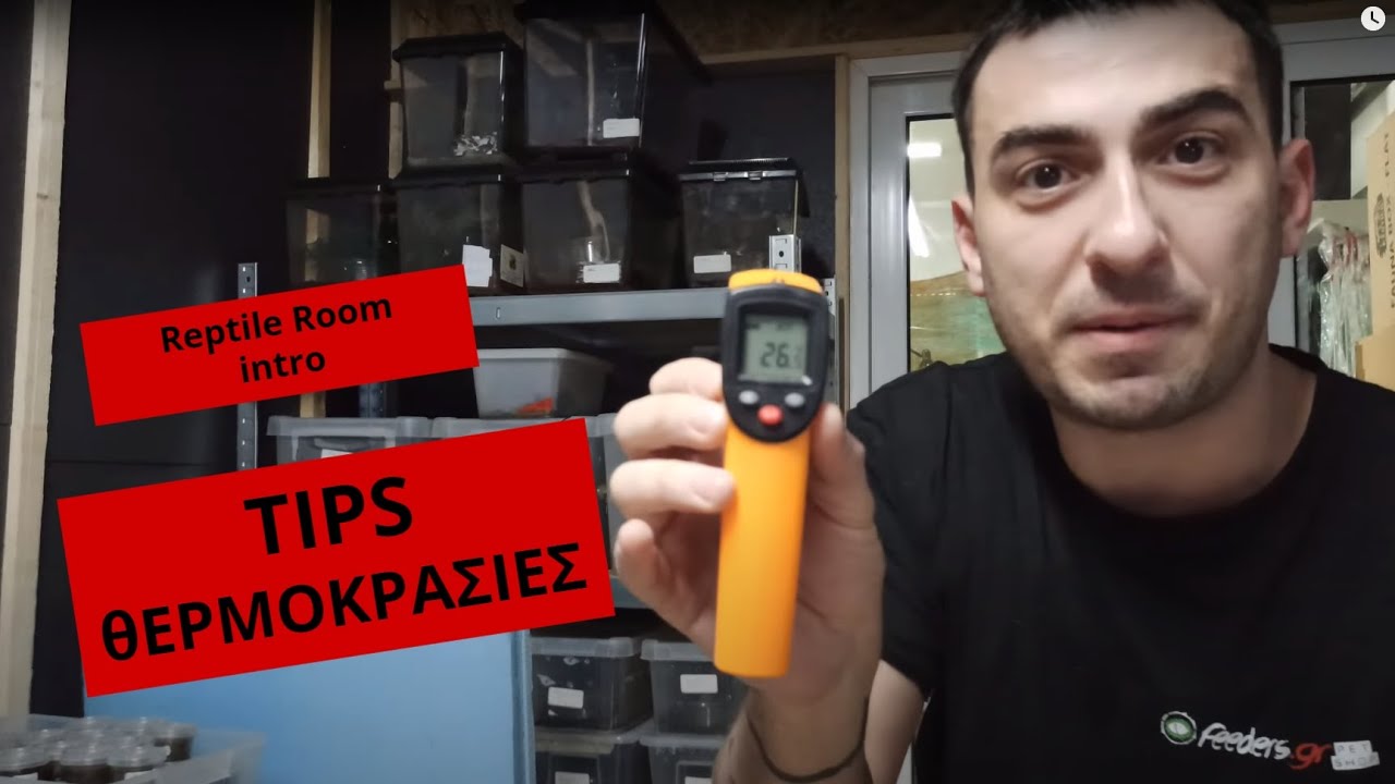 Intro Reptile Room - tips θερμοκρασίες | Feeders Strs 71