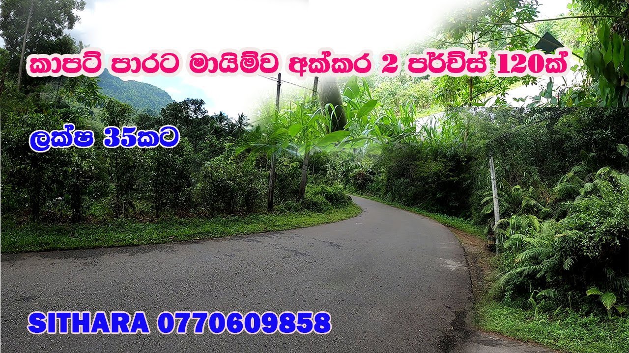 කාපට් පාරට මායිම්ව අක්කර 2 පර්ච්ස් 120ක් /ලක්ෂ 35කට/SITHARA/0770609858/IDAM LAND /GEWAL