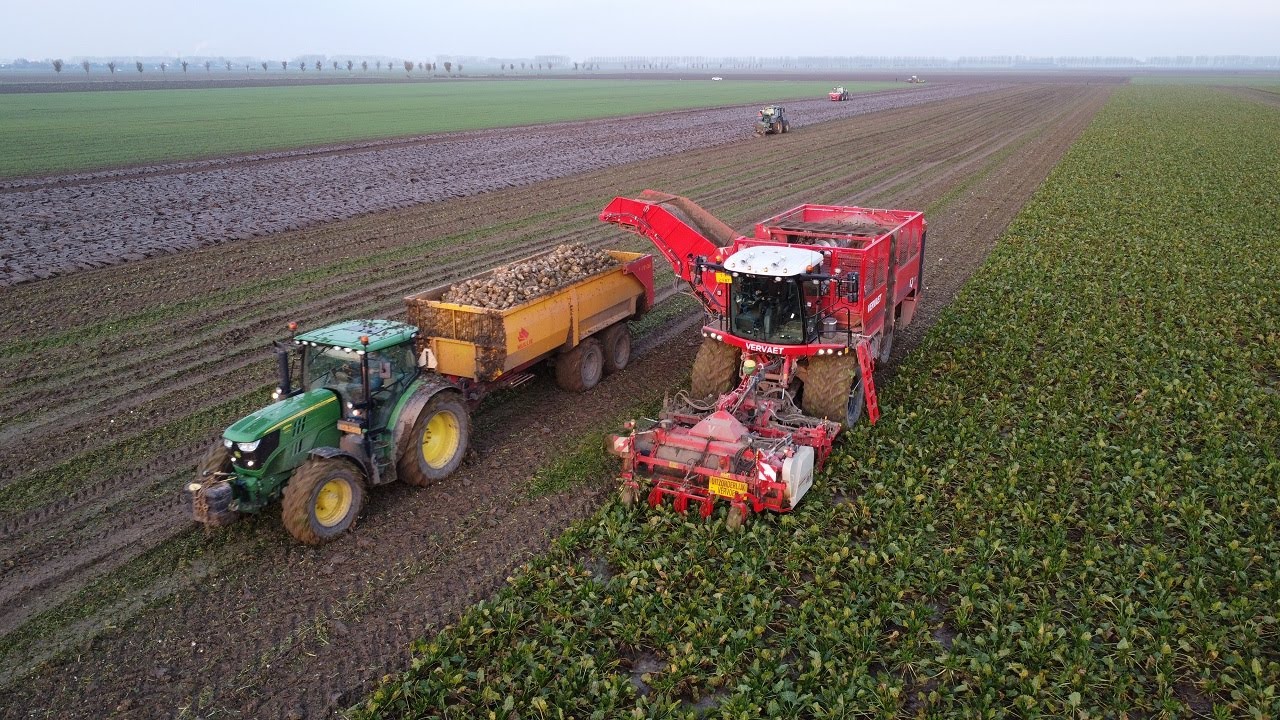 Sugarbeet Harvest | Bieten Rooien | Verveat Q616 | John Deere | 2022