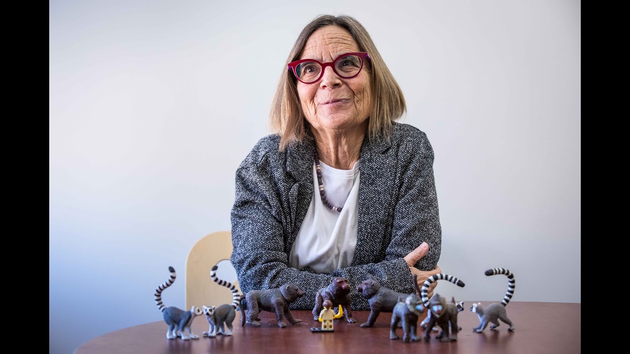 ASU primatologist Joan Silk talks about her new essay, 