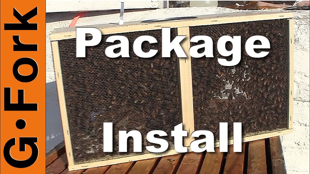 Bee Package Installation - Beekeeping 101 - GardenFork