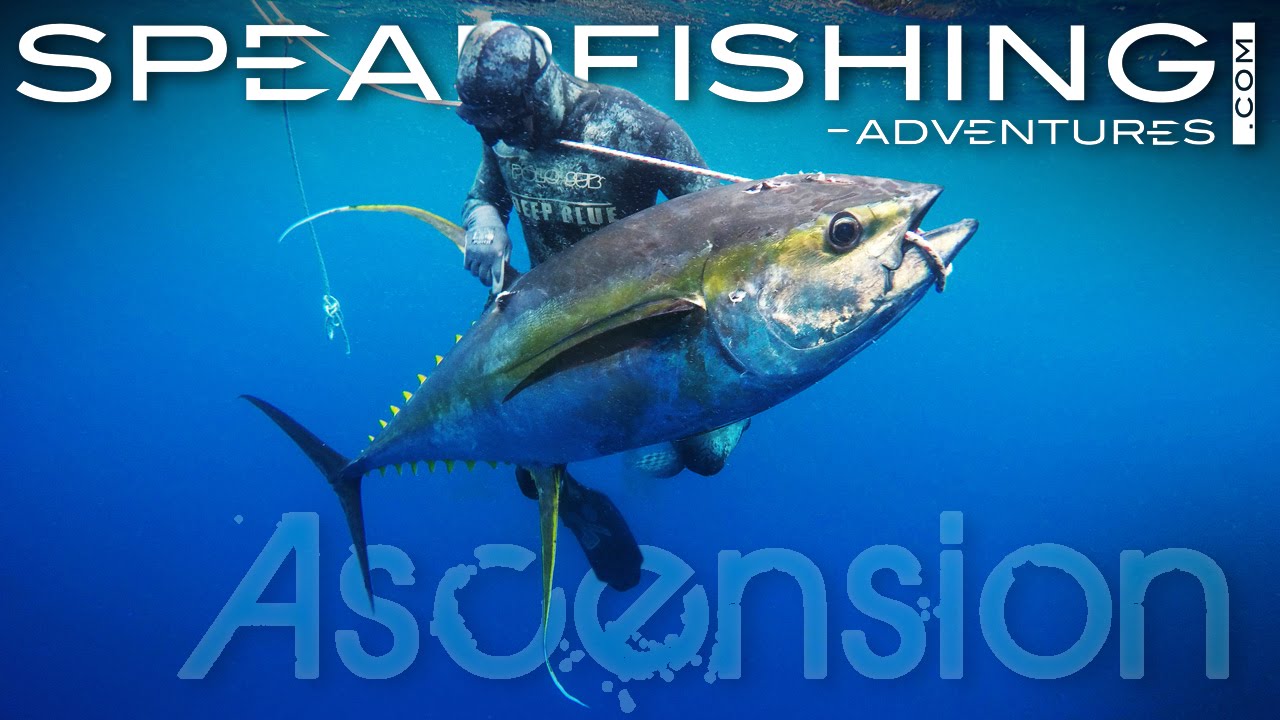 Ascension Island - Spearfishing adventures