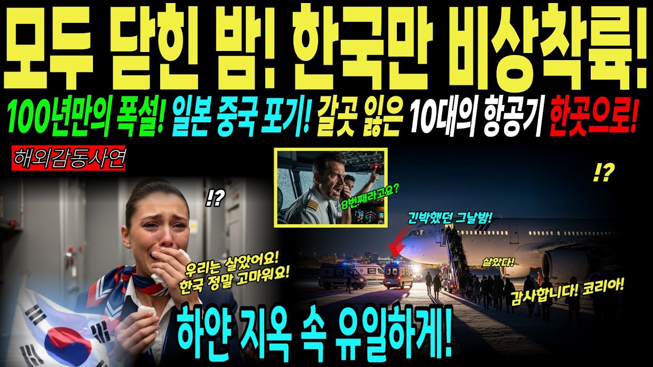 [해외감동사연] 비상착륙 거부된 비행기 10대! 일본 중국 포기한 폭설 속 한국 인천공항만 열렸다...프랑스 승무원이 오열한 이유