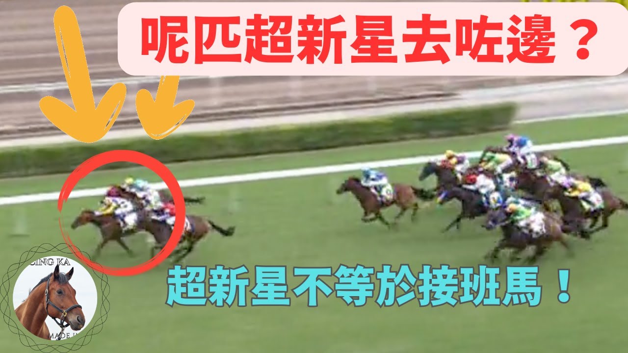十匹不似預期的「超新星」！其中一匹去向不明！｜香港賽馬