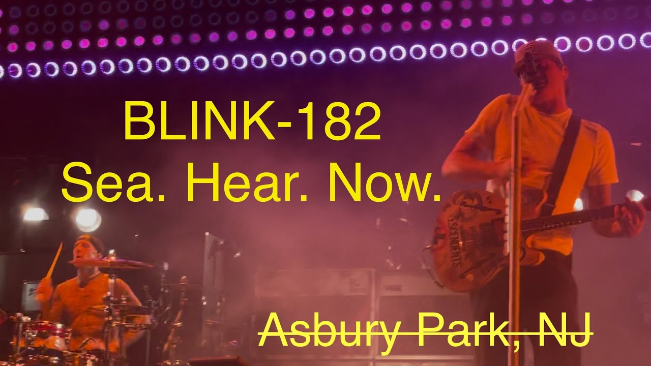 Blink-182 @ SEA. HEAR. NOW. in “Ass Berry” Park, NJ 