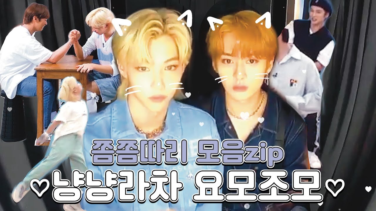 [스트레이키즈/리노,필릭스] 짜투리 냥냥라차 쫌쫌따리 모음zip