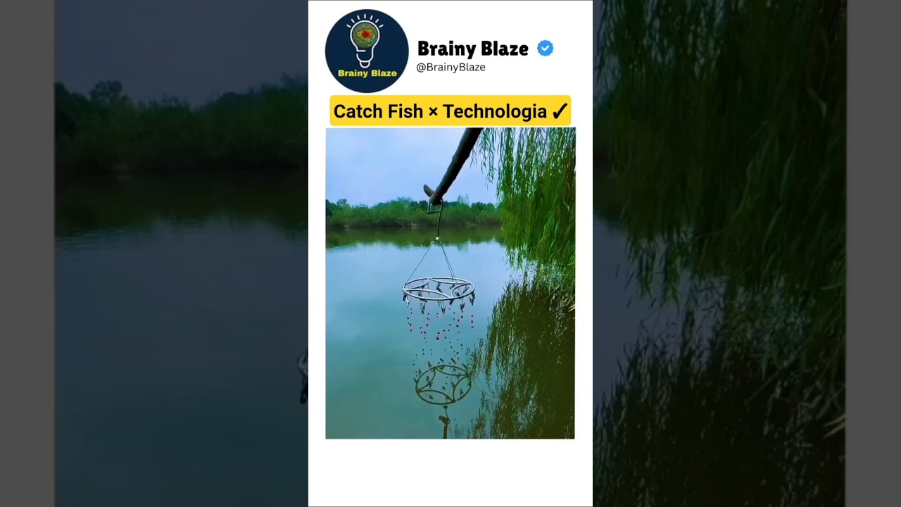 Catch Fish &times; Technologia ✓ | Technologia funny memes viral video | #funny #technologia #lifehacks