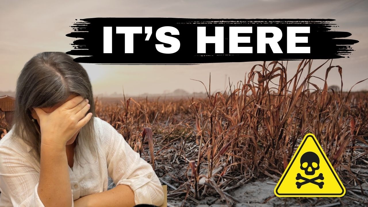GMO WHEAT Has Invaded the U.S.! | Full Breakdown
