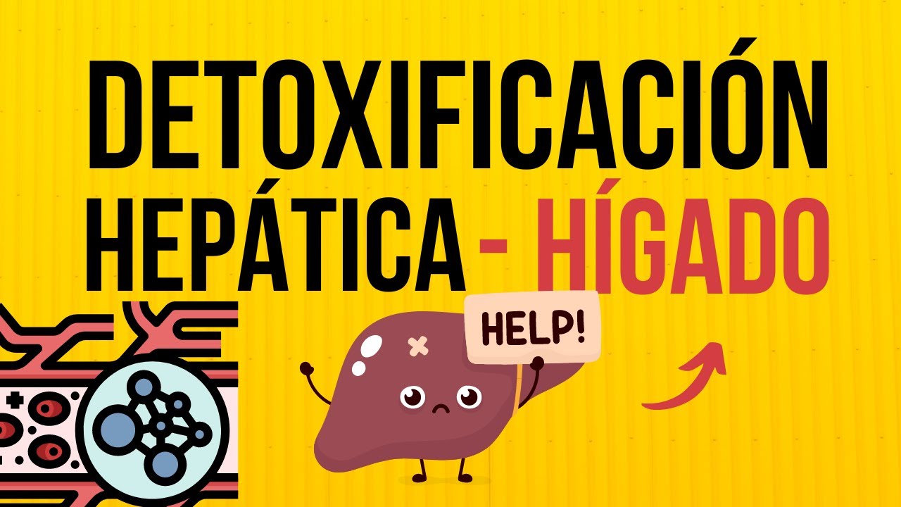 🔍 Secretos del HÍGADO : Conoce las CLAVES para una Detoxificación EFECTIVA 🤔