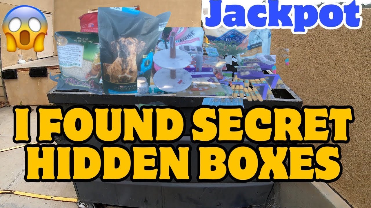 DUMPSTER DIVING  I FOUND HIDDEN BOXES WITH VALUABLE STUFF