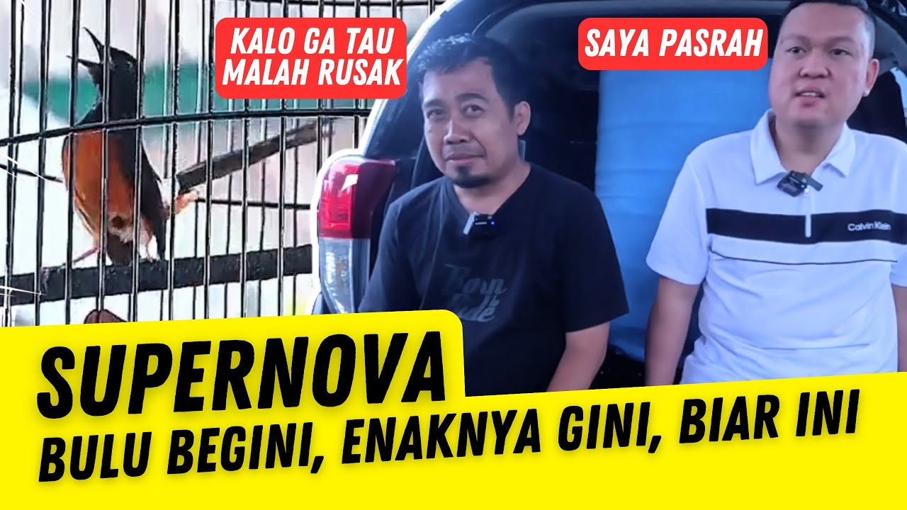 SUPERNOVA MASALAH BULU GINI AJA ‼️ Jawara Utama Mobil Xpander Piala CEO Prasasti