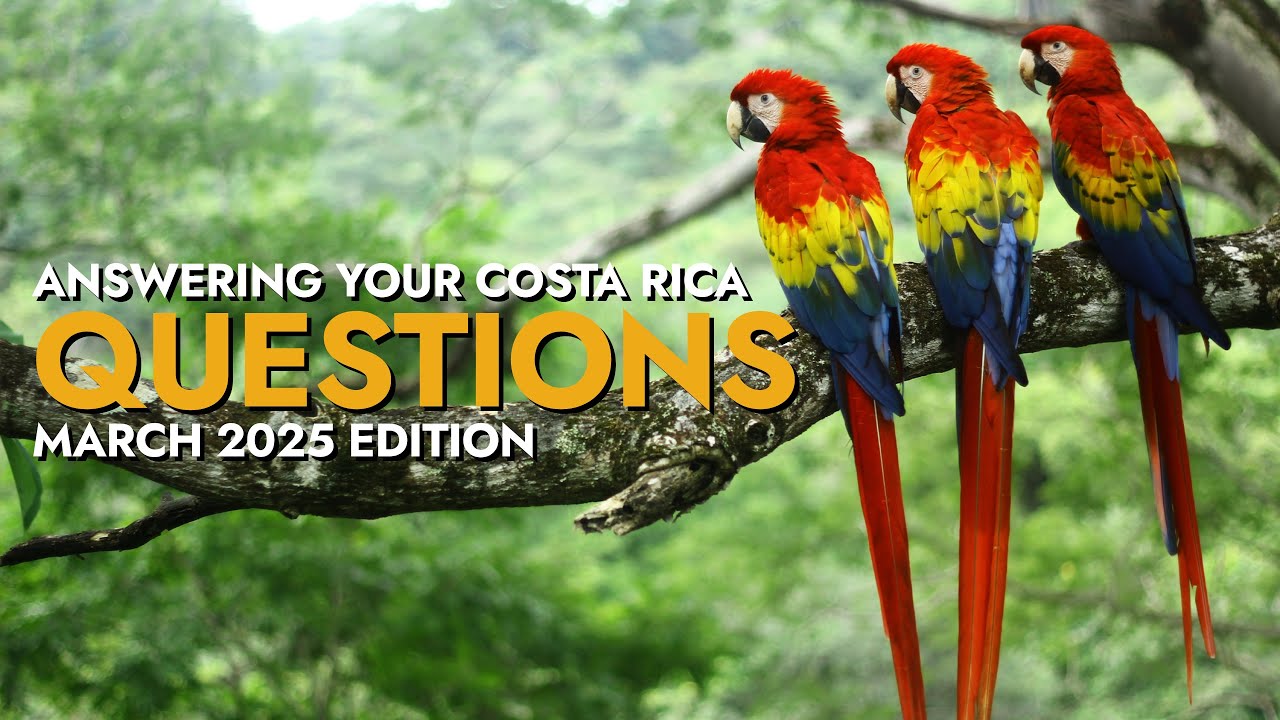 Answering Your Questions About Life in Costa Rica: March 2025 Edition