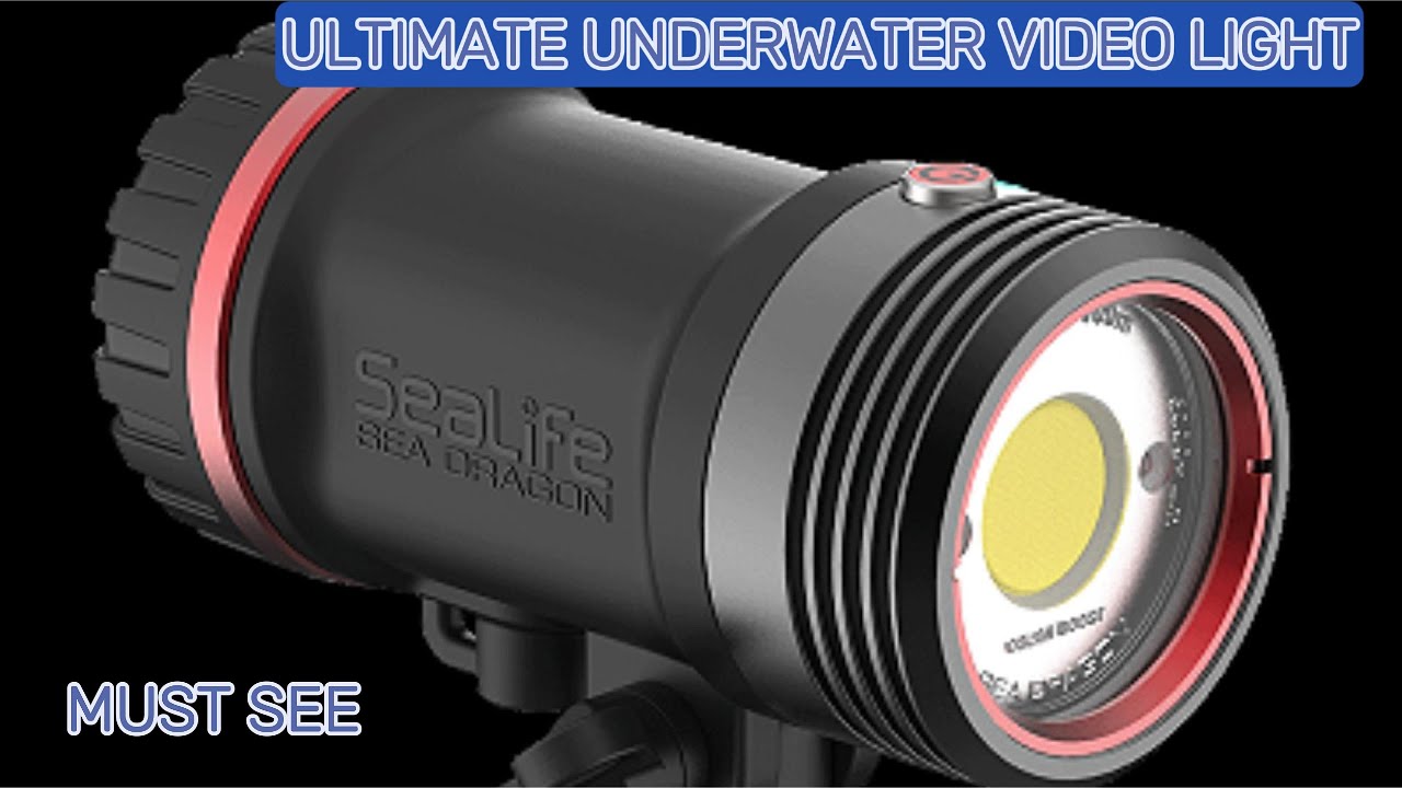 The Easiest Way to Get Great Colors in Your Video When Filming Underwater with Sea Dragon 5000+