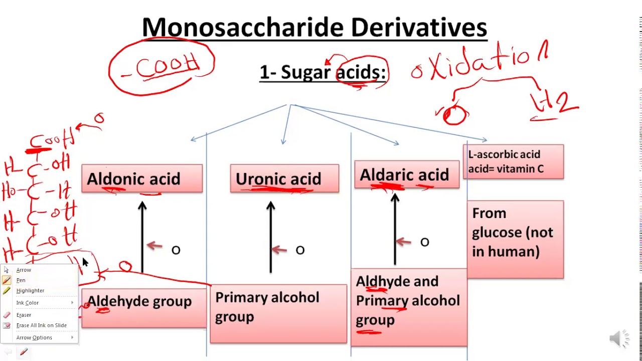 BUC | BIO 2(Monosaccharides derivatives and Disaccharides)