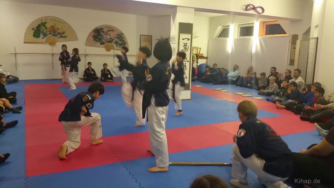 Hapkido Selbstverteidigung - Korea Kinder Demo 2017😊 | Hapkido Demo