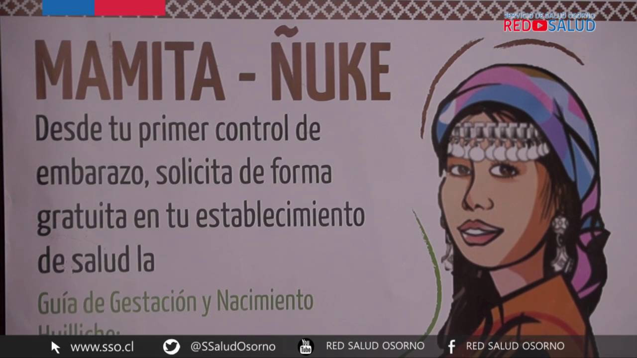 Partos Interculturales en la red provincial de salud Osorno