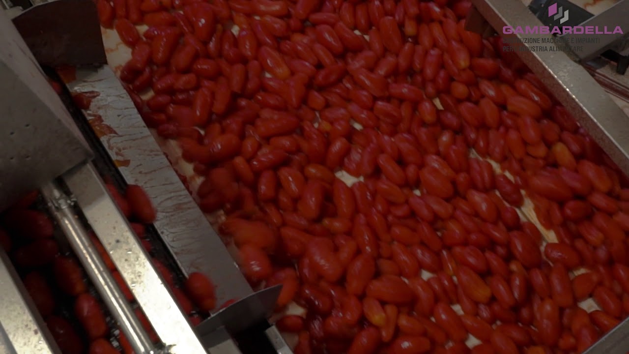 MACHHINARI PER LA LAVORAZIONE DEL POMODORO