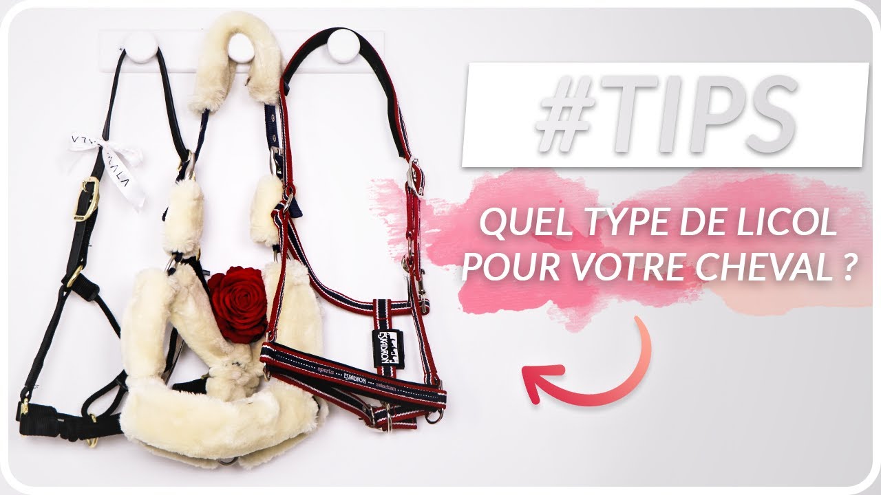 QUEL LICOL POUR VOTRE CHEVAL ? | #OHLALATIPS