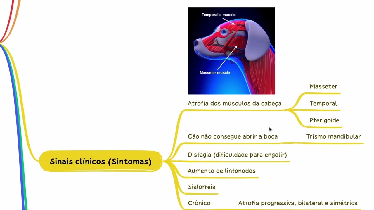 Miosite nos Músculos Mastigatórios: Causas, Sintomas e Tratamento.