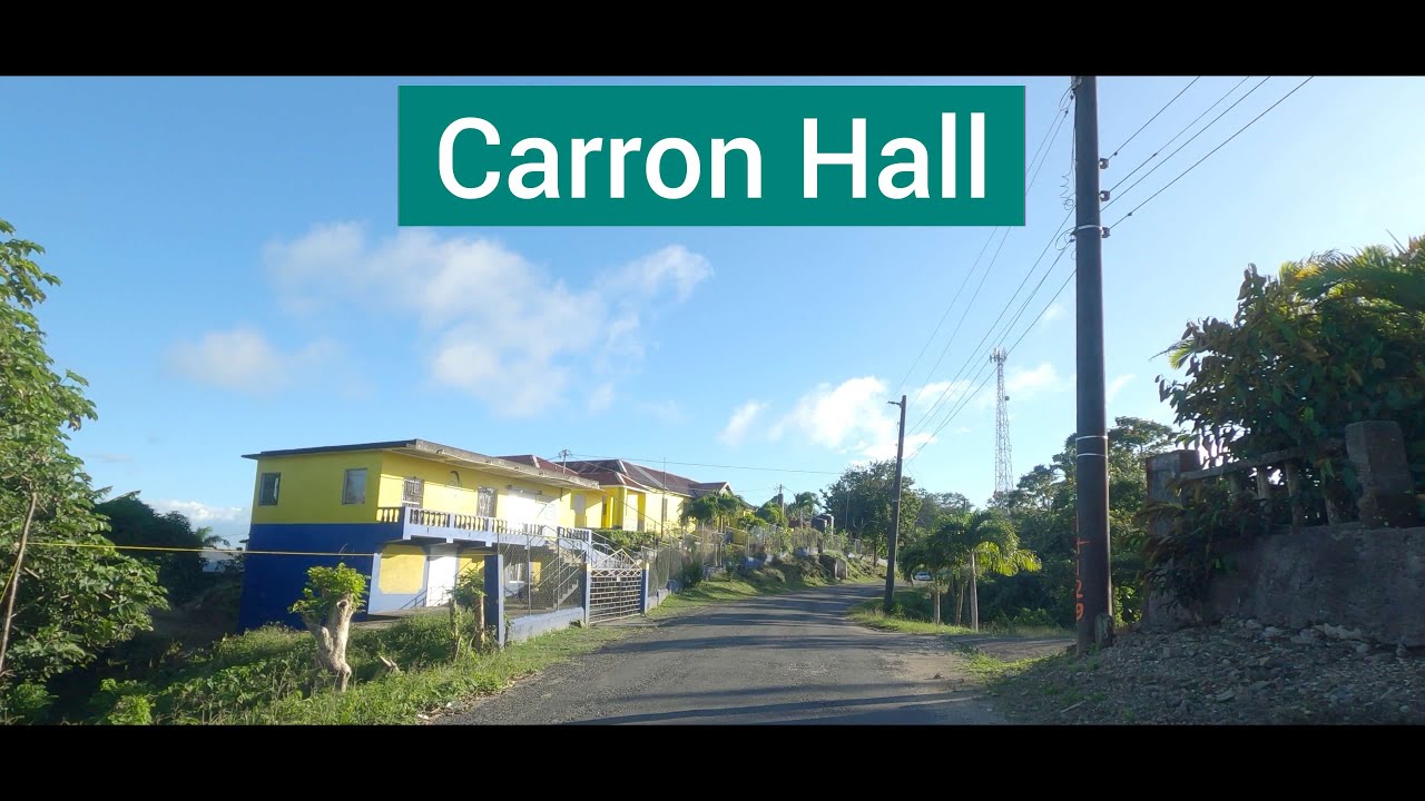 Carron Hall, St Mary, Jamaica (2024) - Part 1