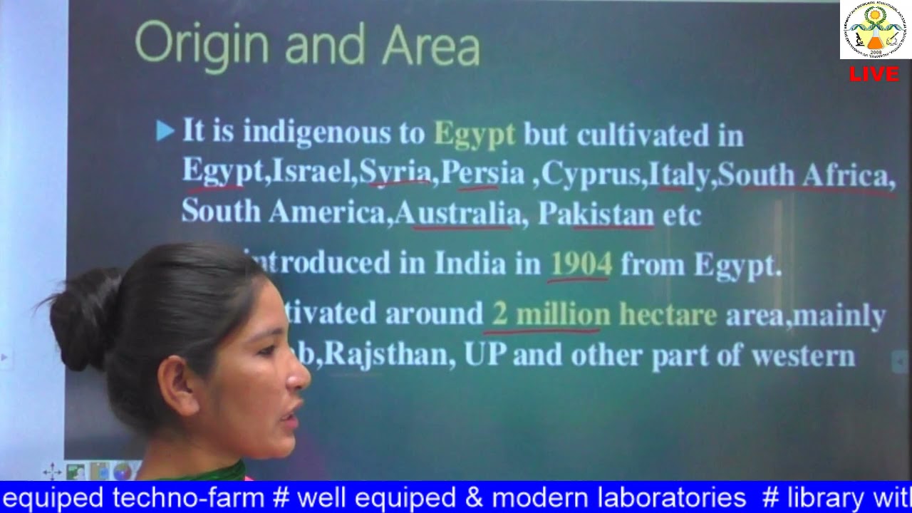 GPB 321 Lecture 3 Topic  Berseem