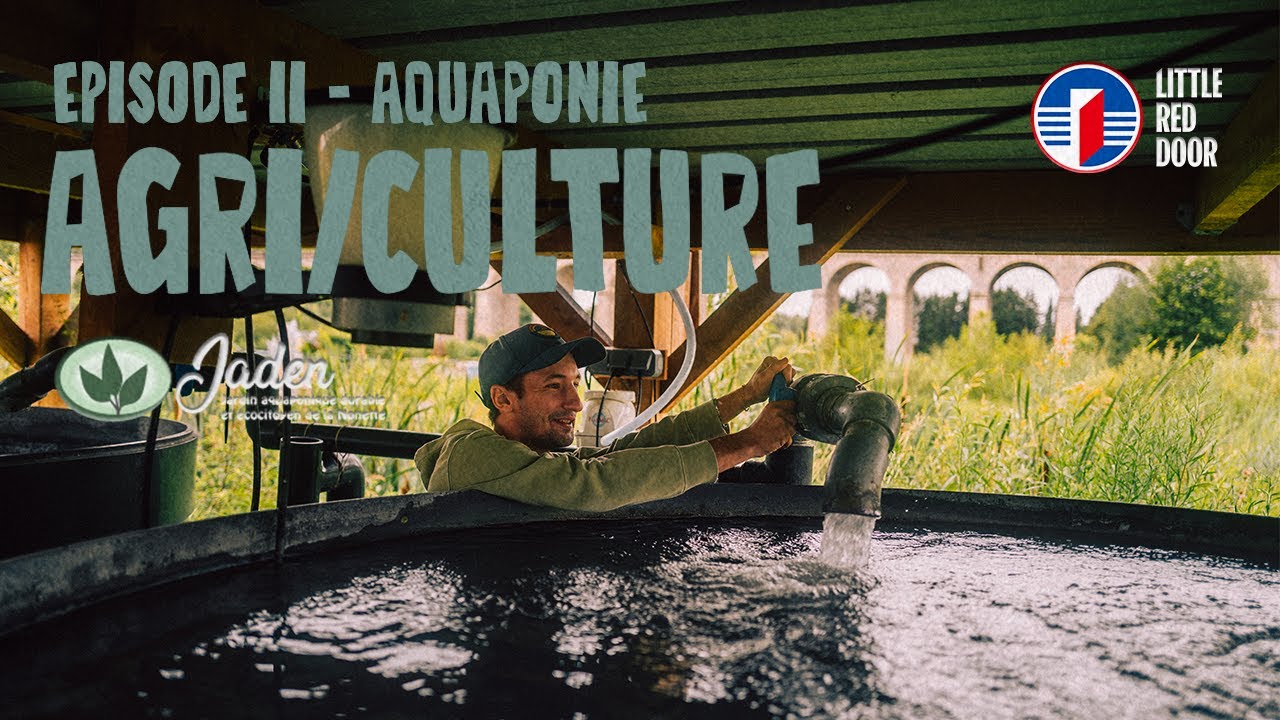 AGRI/CULTURE - AQUAPONIE (with Alexis Cholet from Jaden)