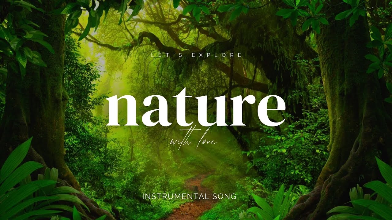 “Whispers of a Lonely Heart – Piano Instrumental” “เสียงกระซิบของหัวใจที่เหงา – เปียโนบรรเลง”