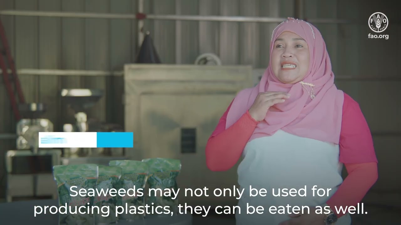 Empowering seaweed farmers in southern Philippines